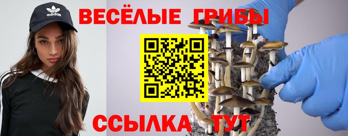 Псилоцибиновые грибы мицелий Дзержинск